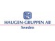 Haugen-Gruppen